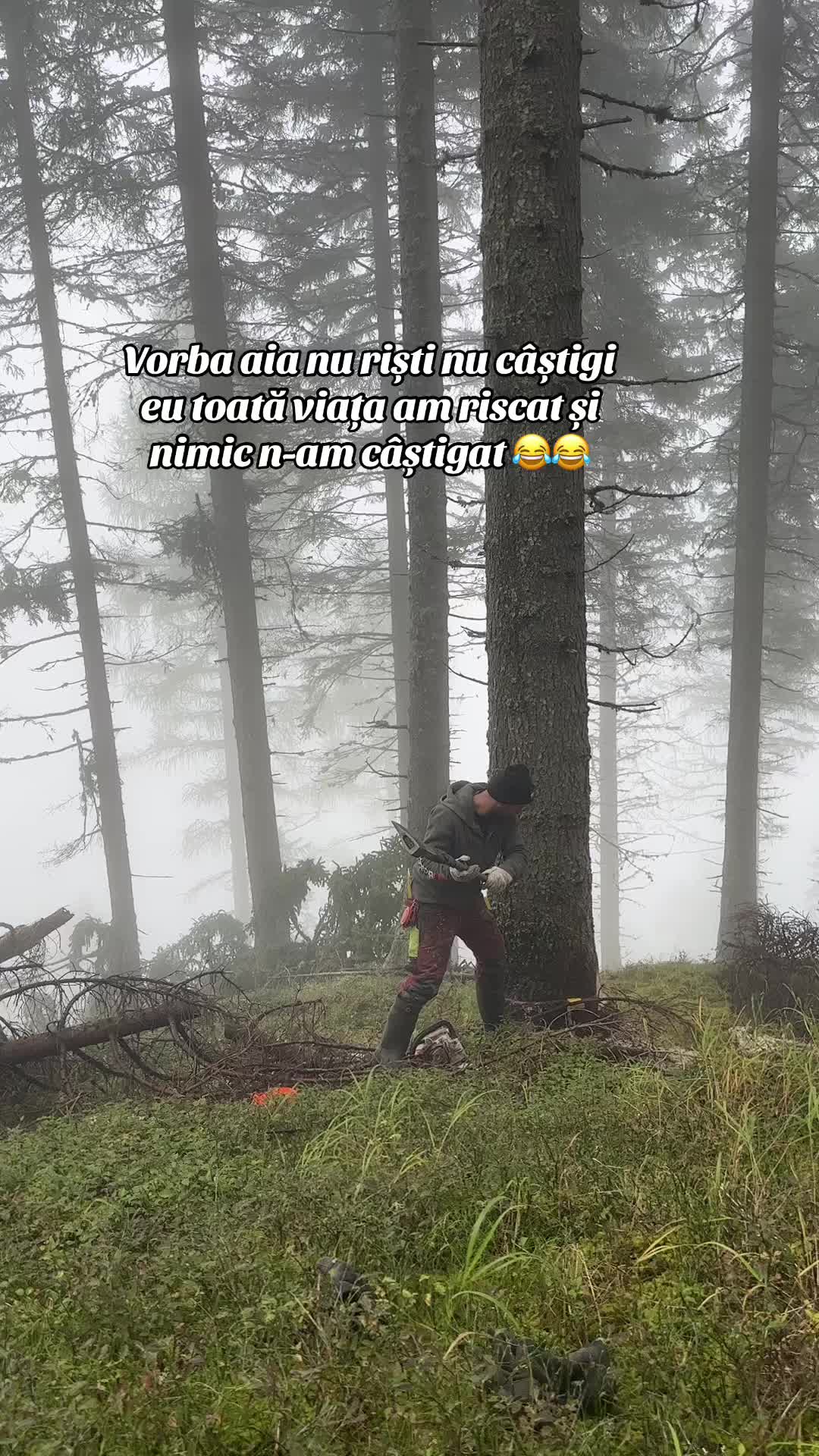 @Nicu Văsieș
