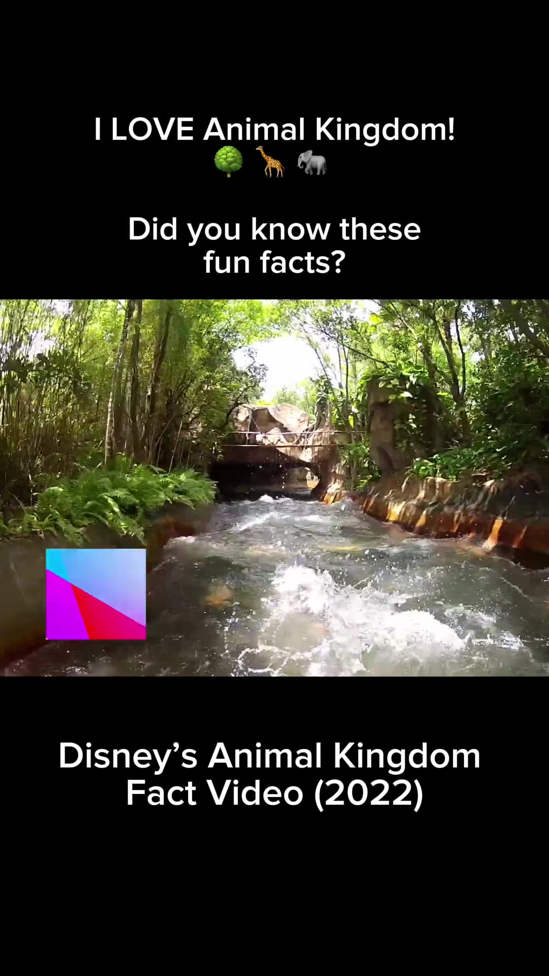 @Disney Mouse House
