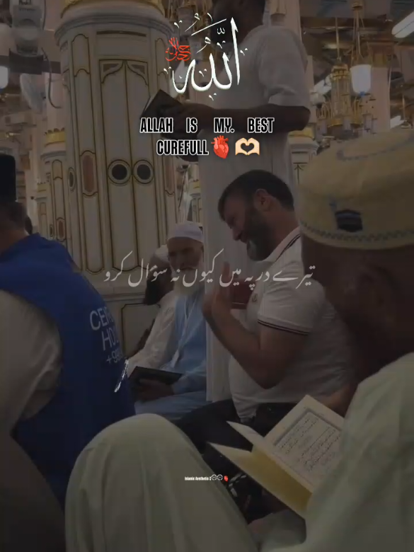 @راجه لقمان 🦅