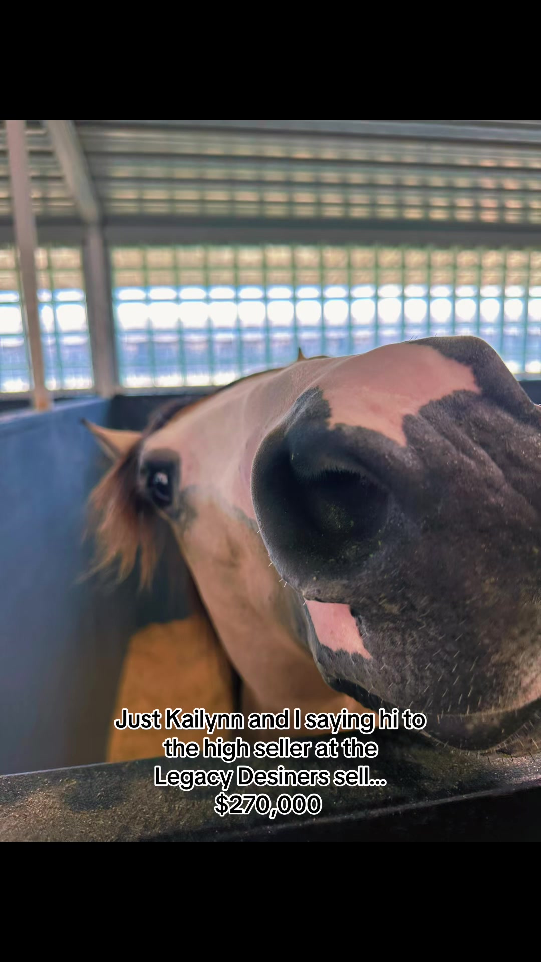 @Freedom Equestrian Center