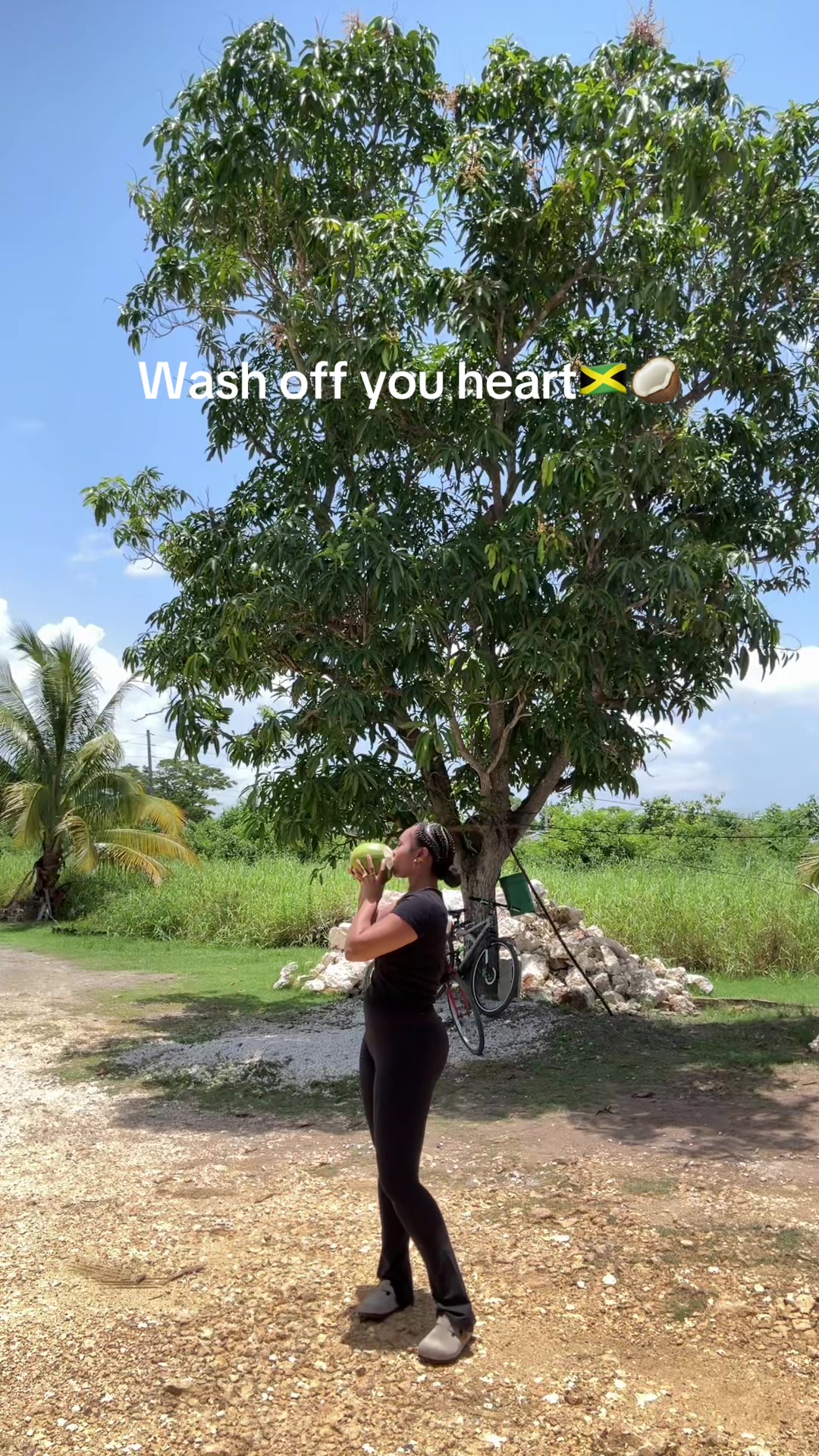 @demaya
