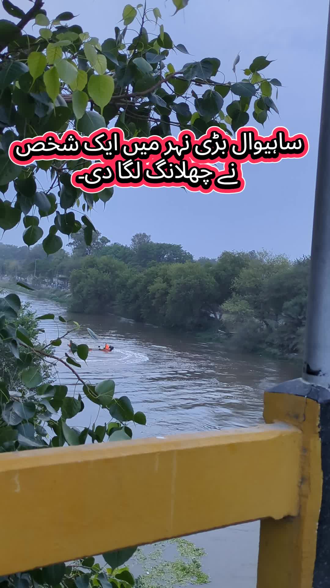 @Daily Sahiwal