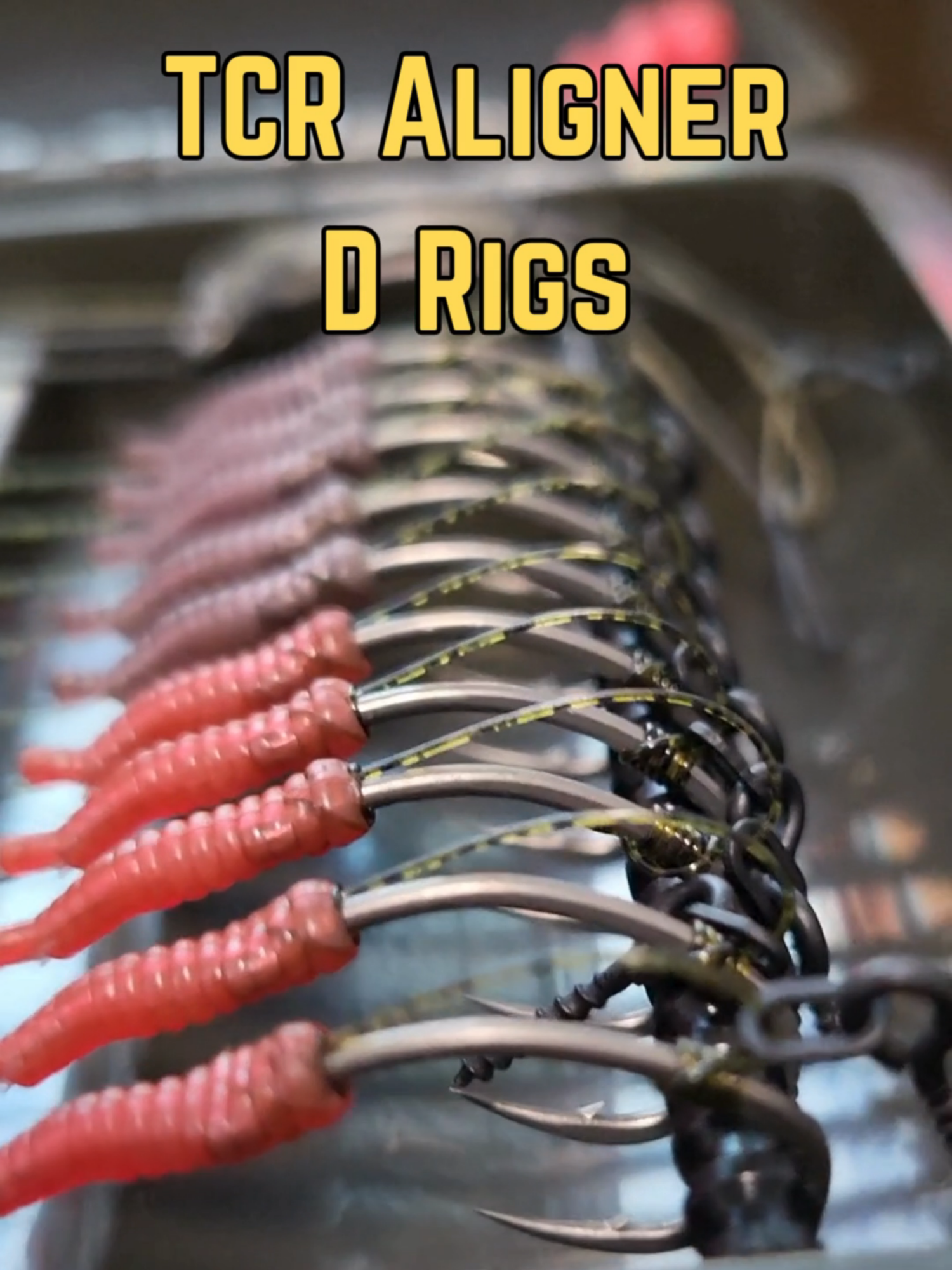 @Thats Carpy Rigs