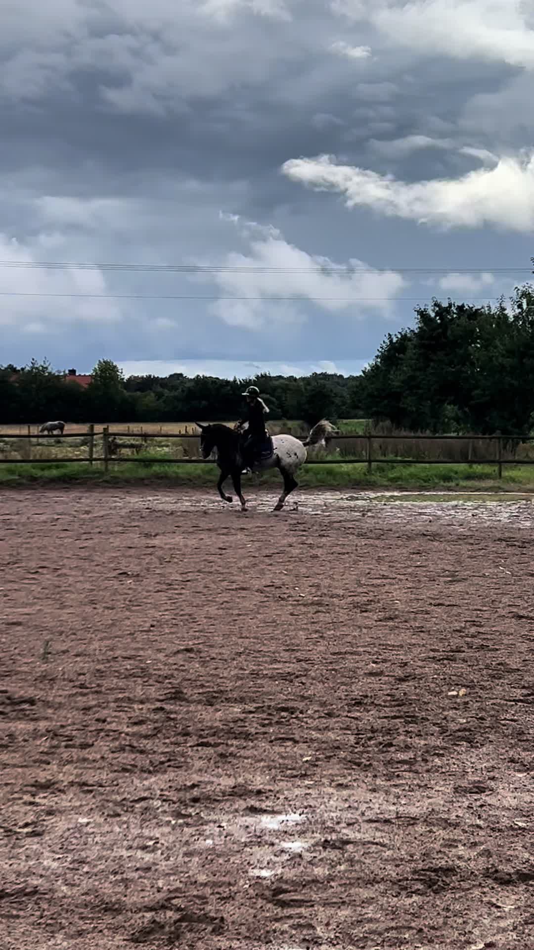 @Moa Borgđïž {5k}