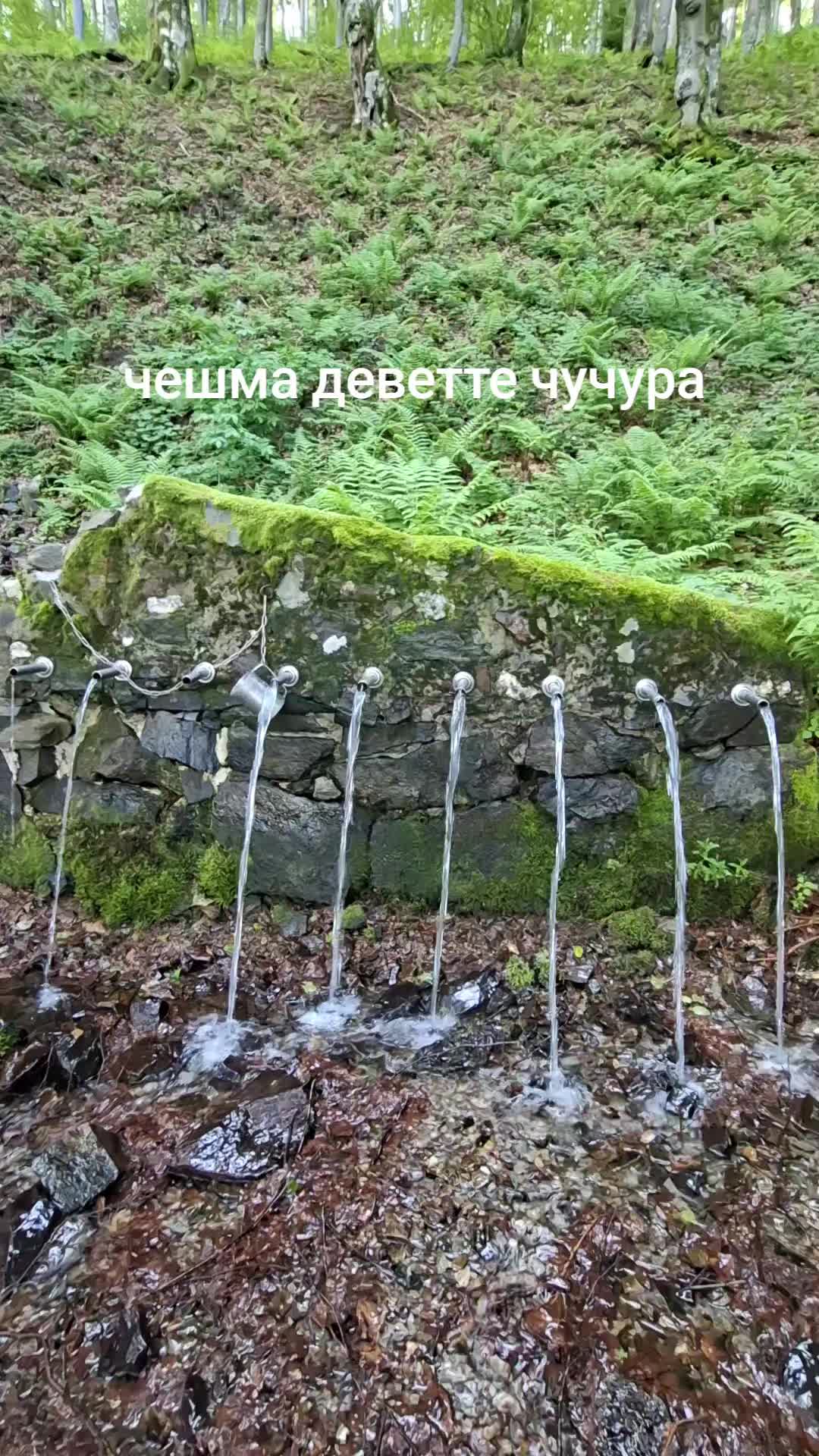 @Nedelin Bozhinov