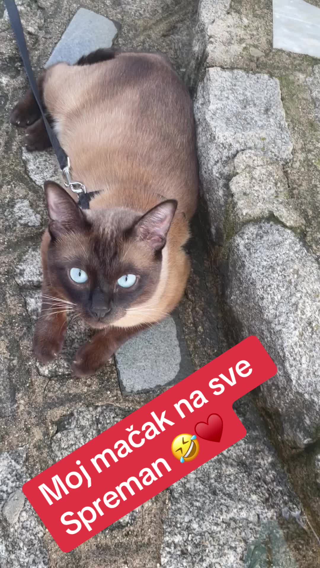 @Maja 69