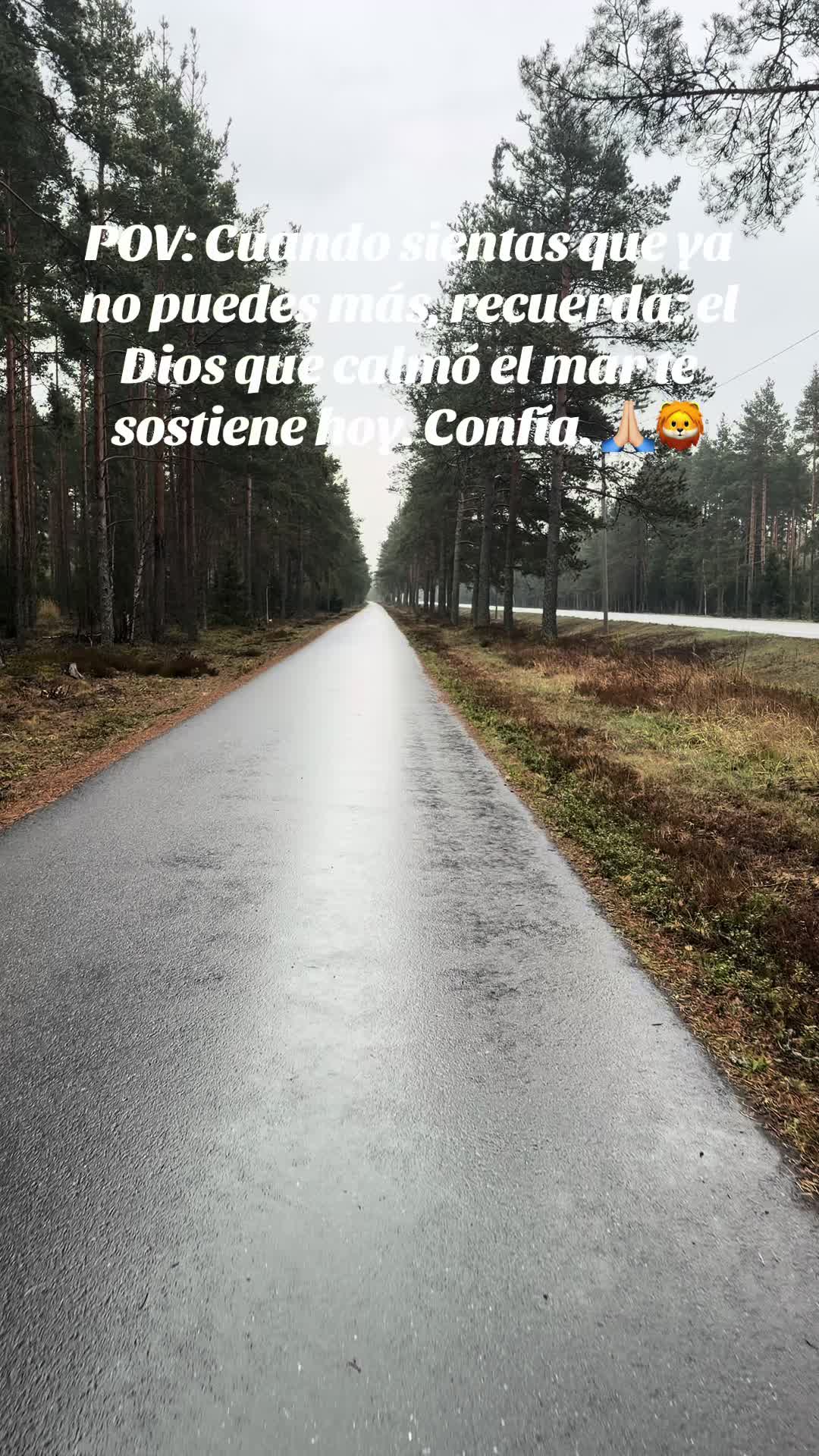 @Emanuel Santander |Reflexiónes