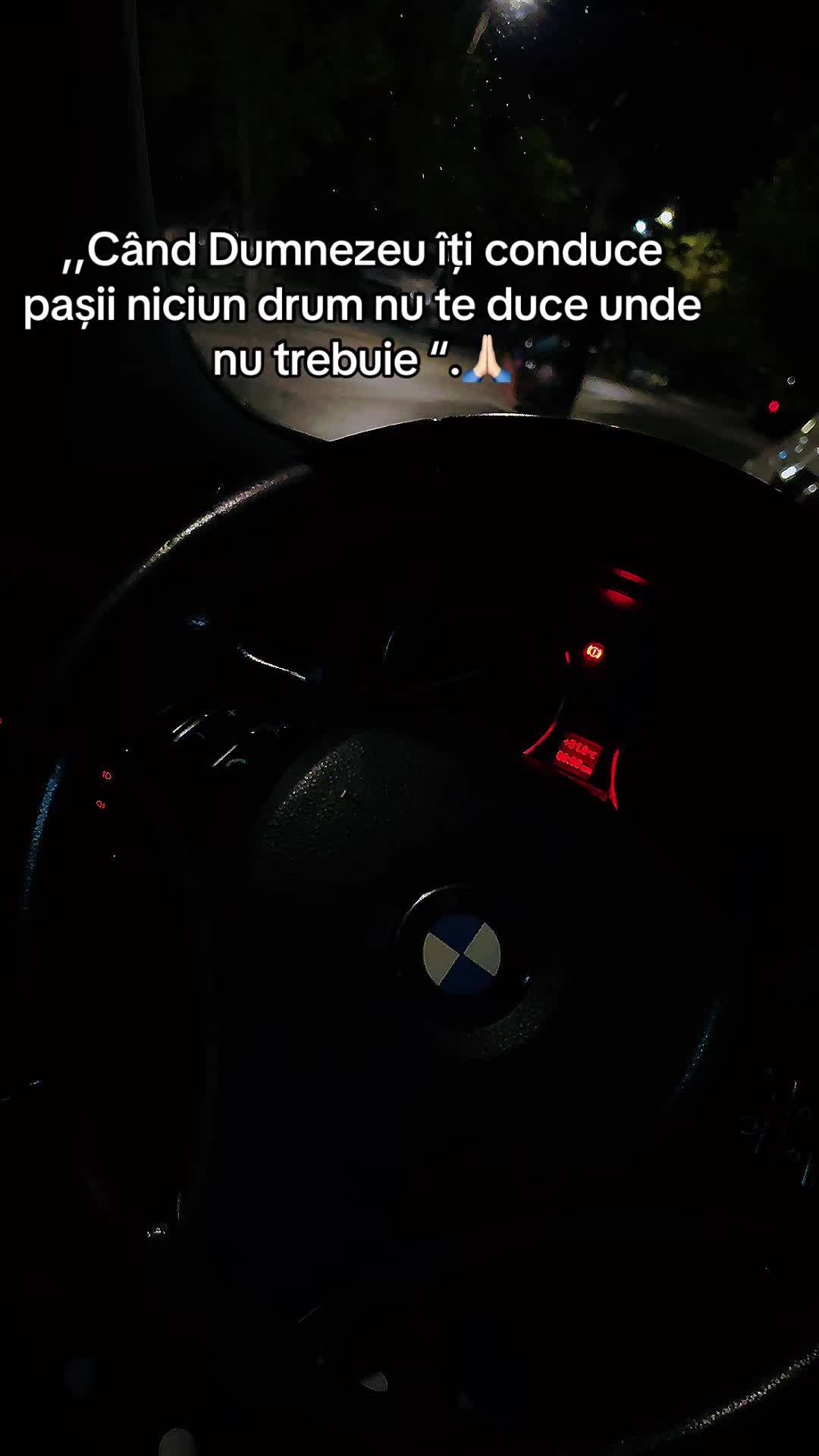 @🥀Tamaduitoarea Denysa 🔮