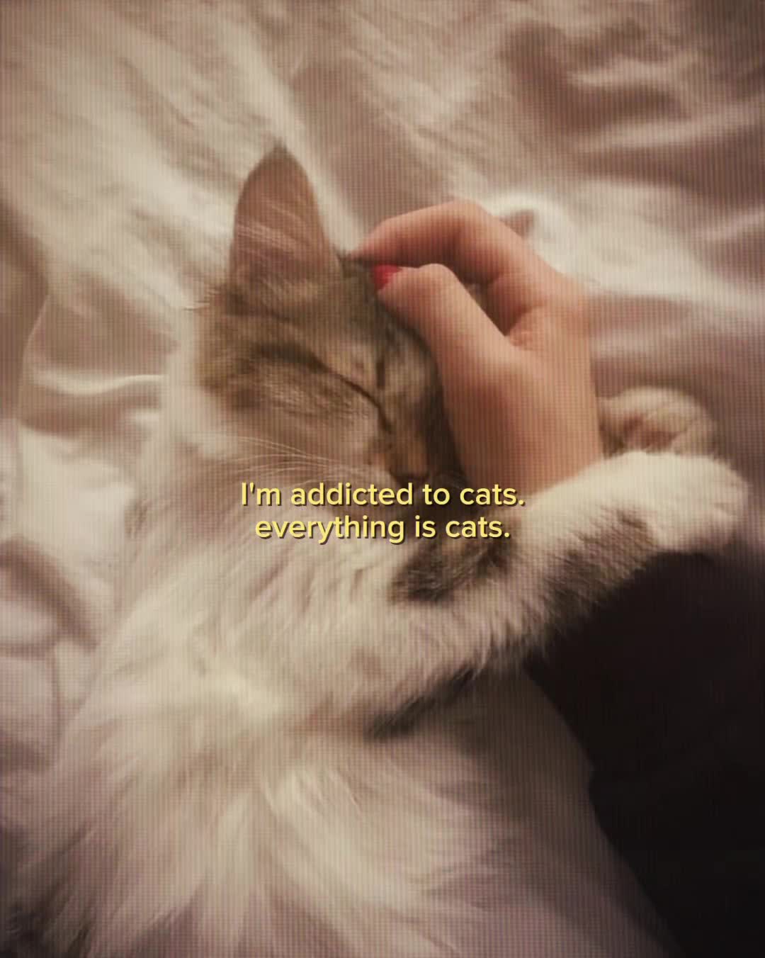@Sunnyyy