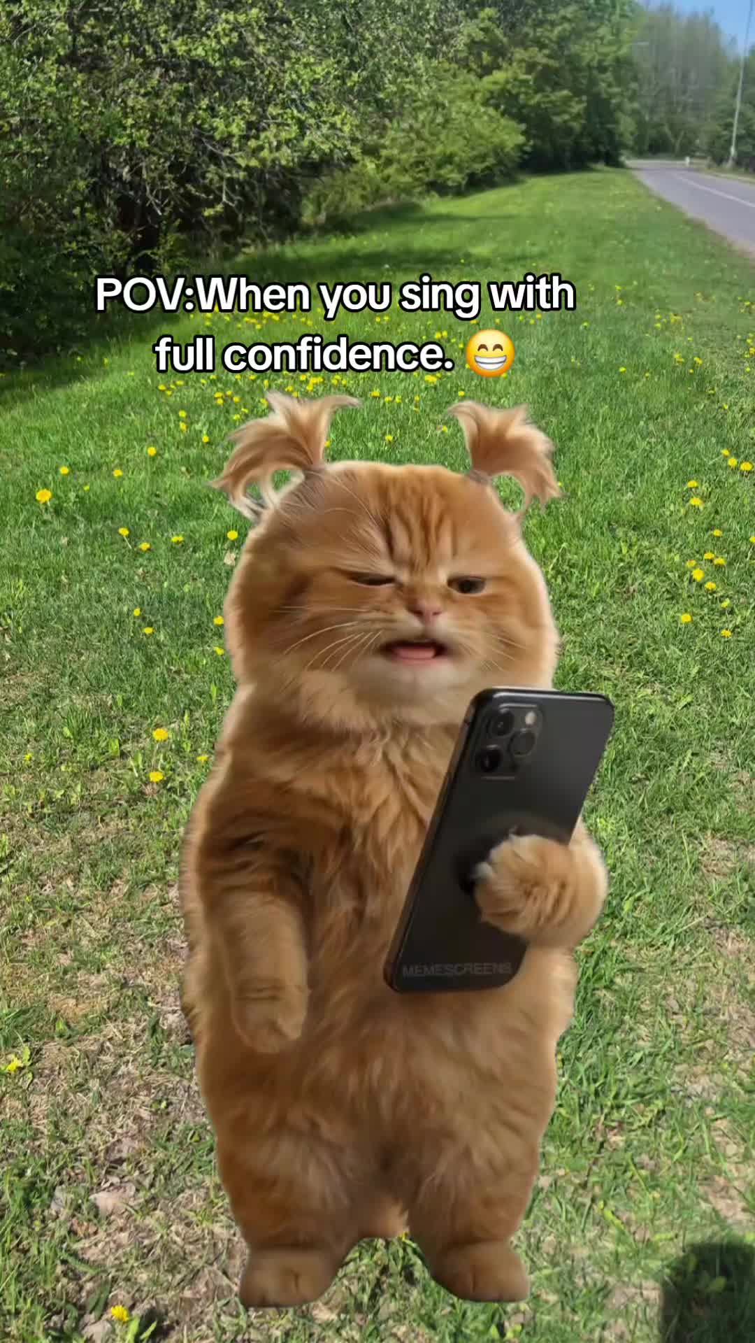@🪺💛 Prettycutez 💛🪺