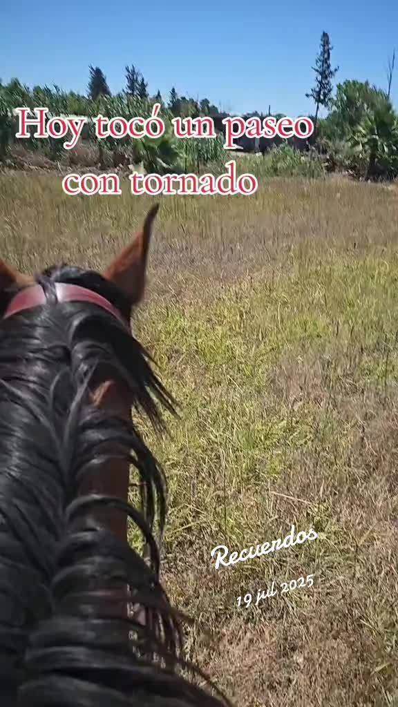 @@rinconlatino