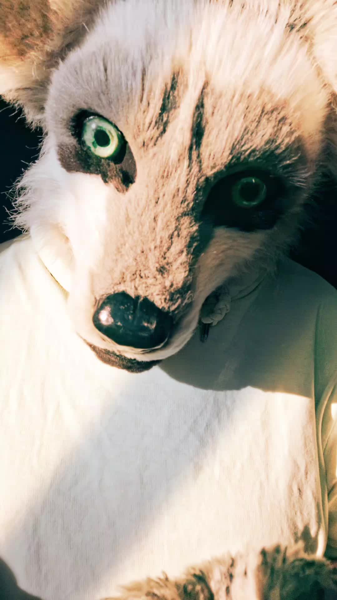@ℂ/𝕃 🌟
