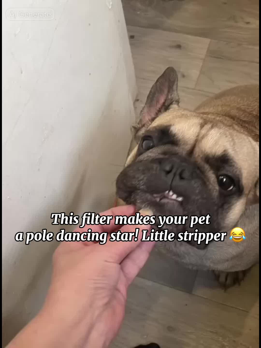 @Lisa