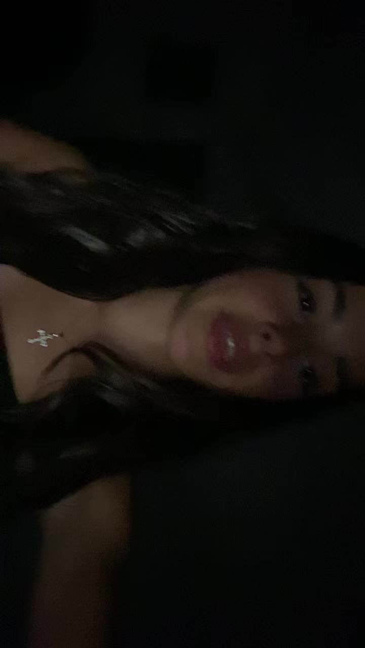@🦈