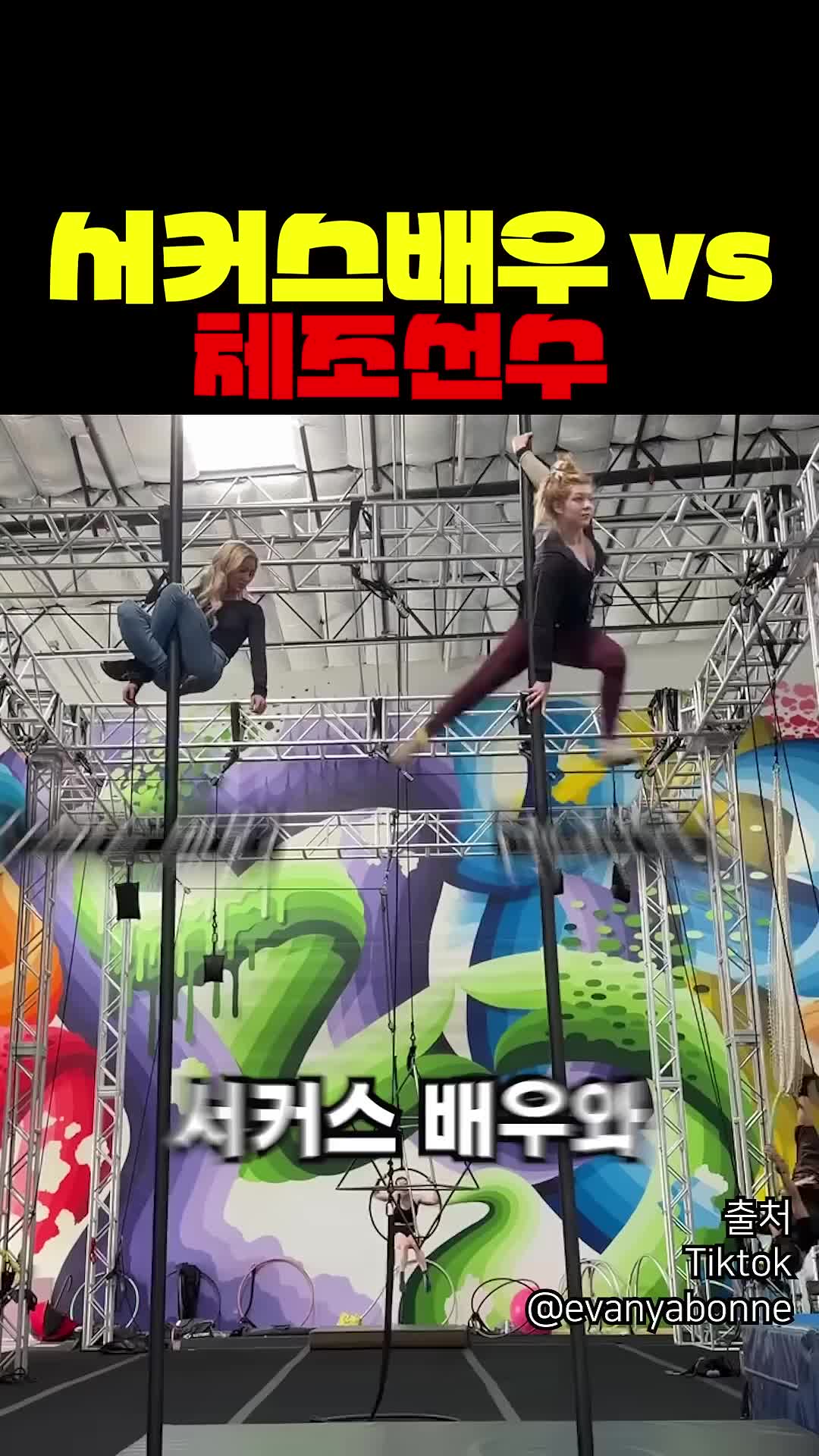 @짱아까미