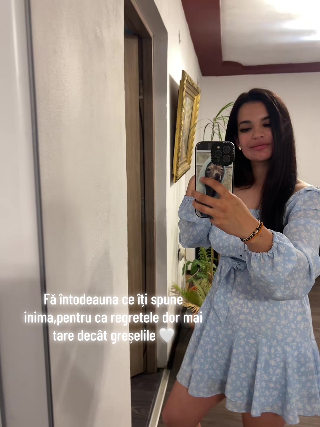 @Diana Lazar