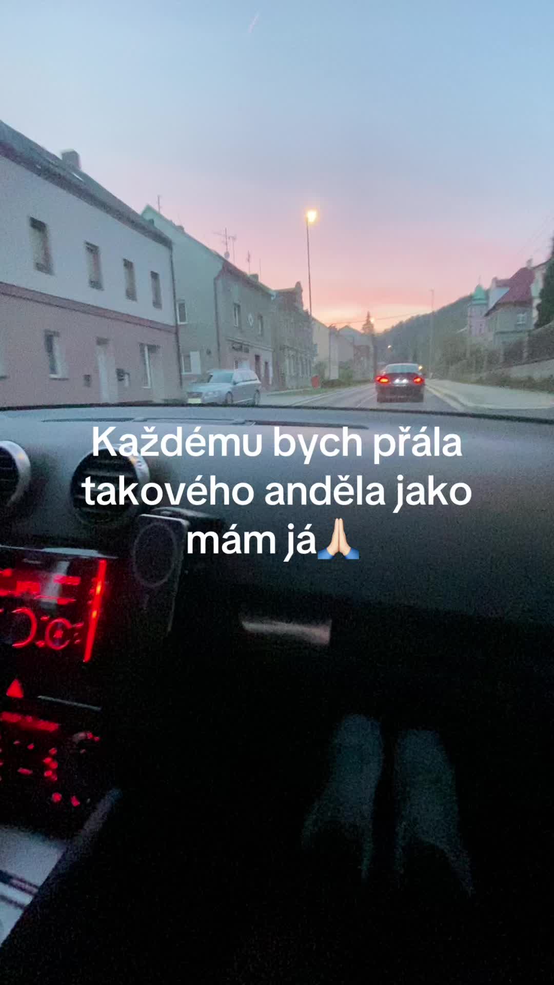@petrazimova6677