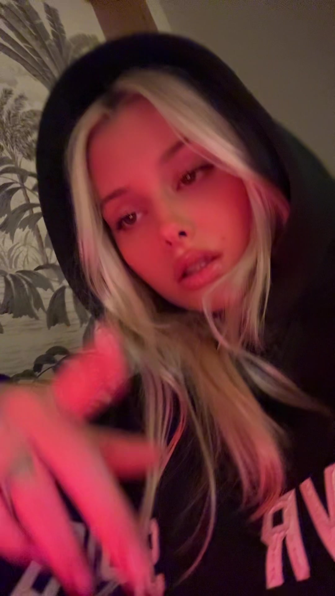 @Camilllebnt
