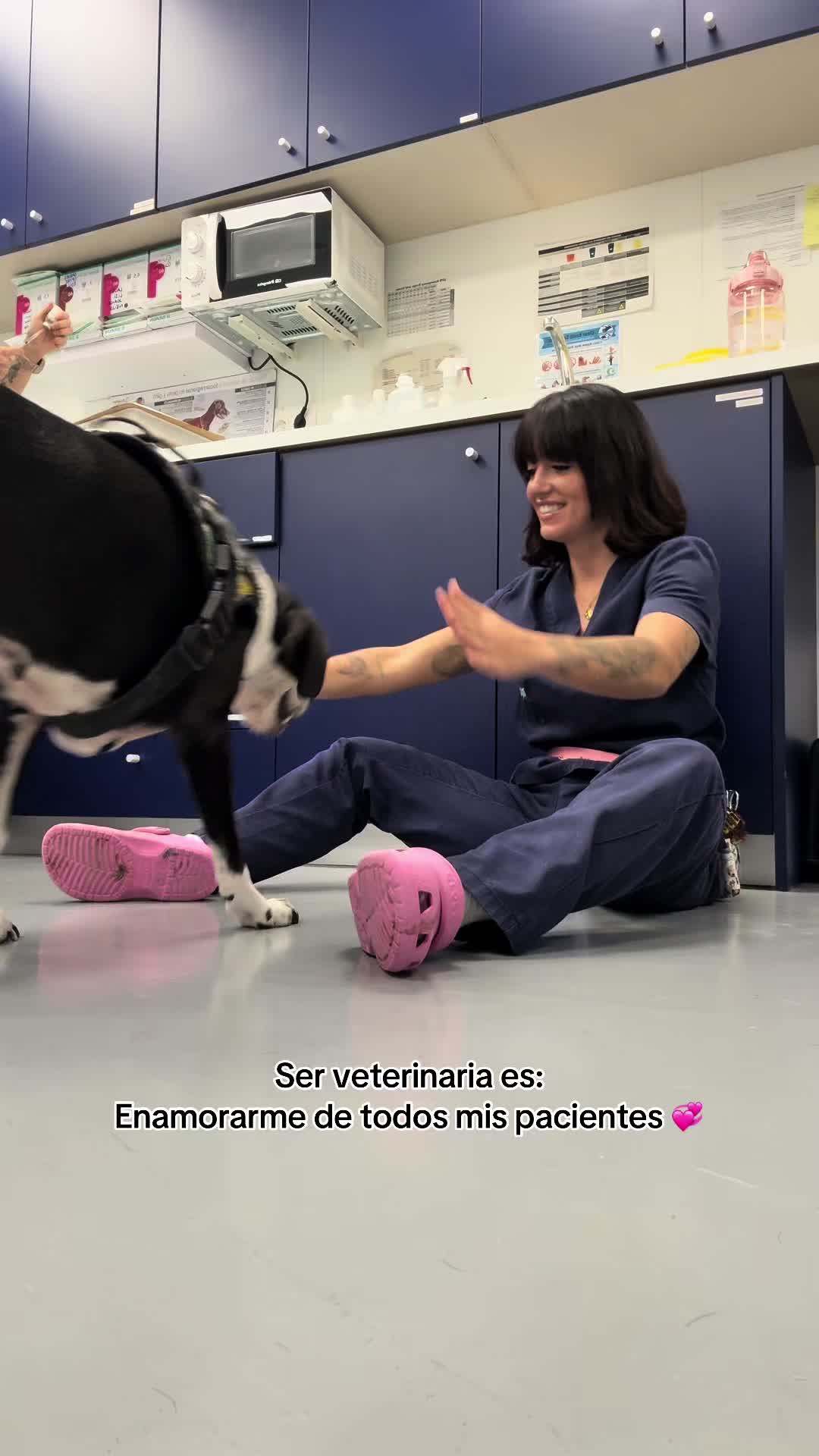 @Elvira Deffontis