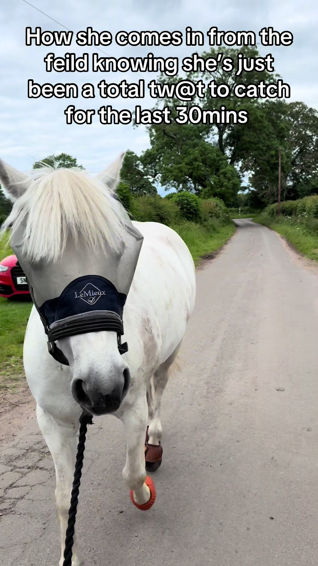@RavenSide Equestrian