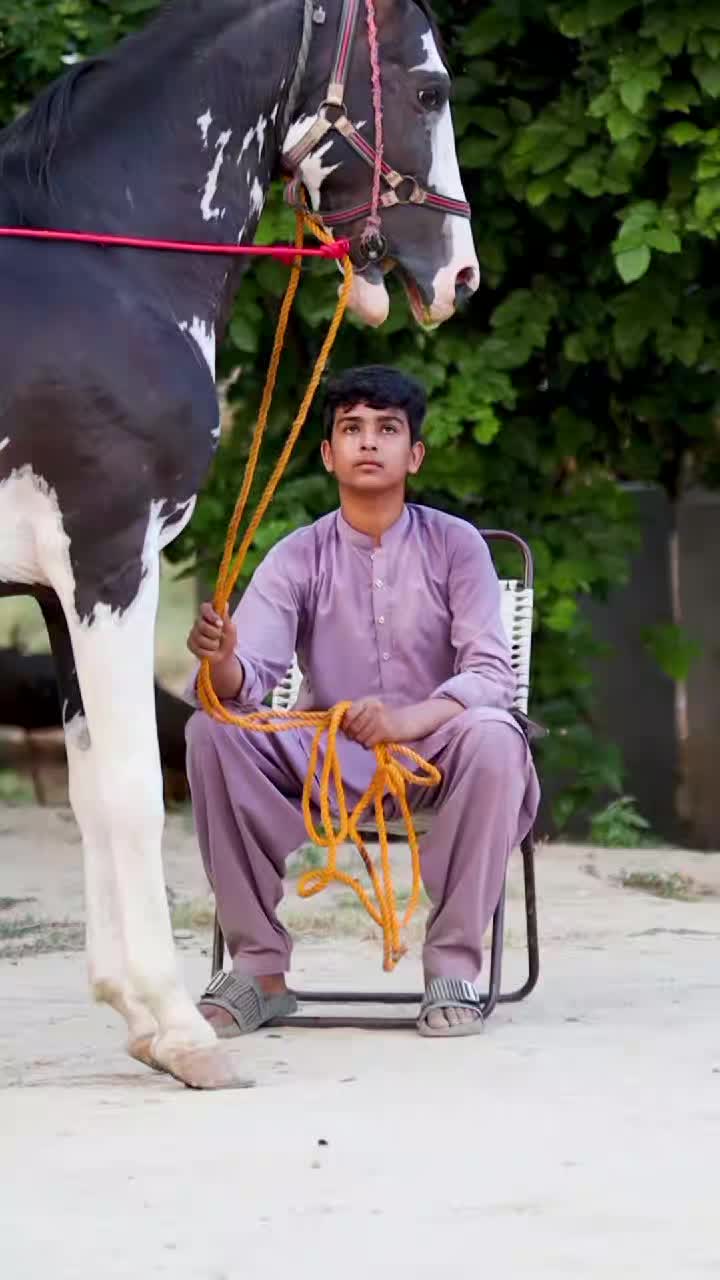 @Malik Ali Abbas Saggu🔥