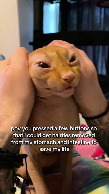 @kyana