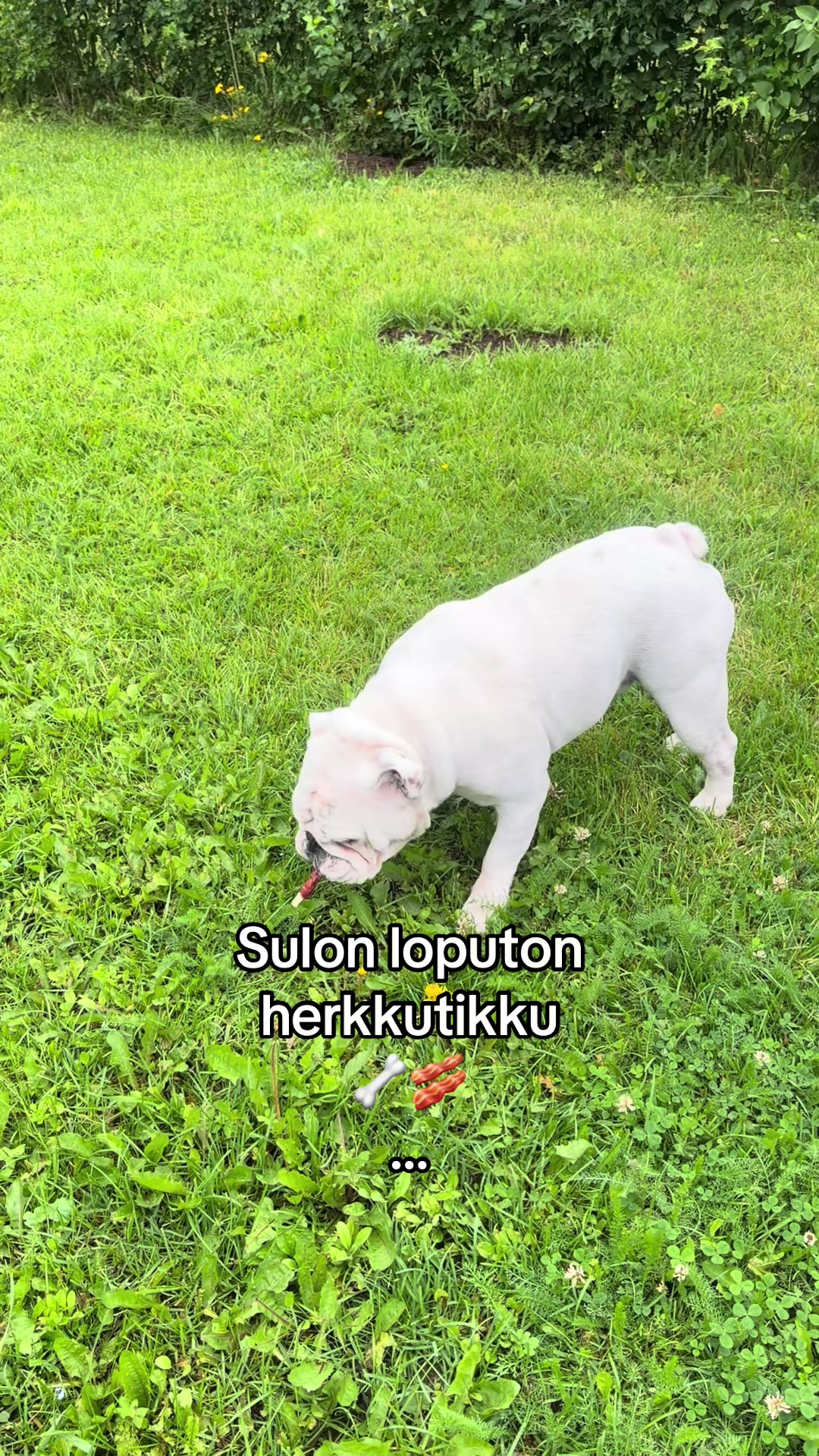 @Salla Armia