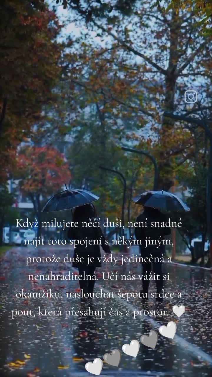 @IN RI 🖤🥀🍀🥀🖤
