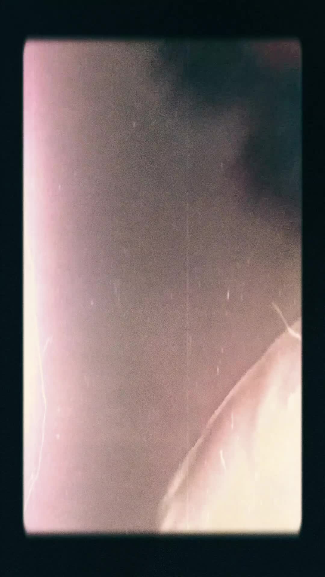 @anna.arctica