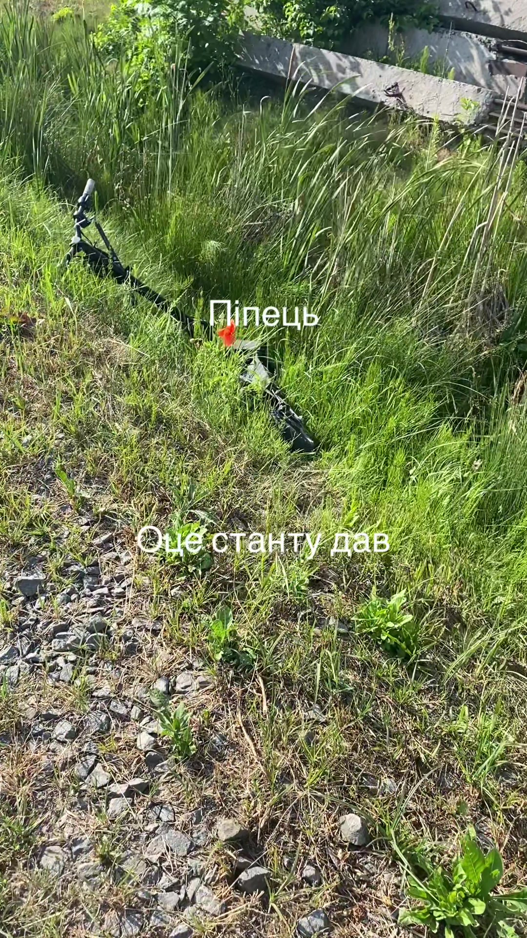 @Котік на г2
