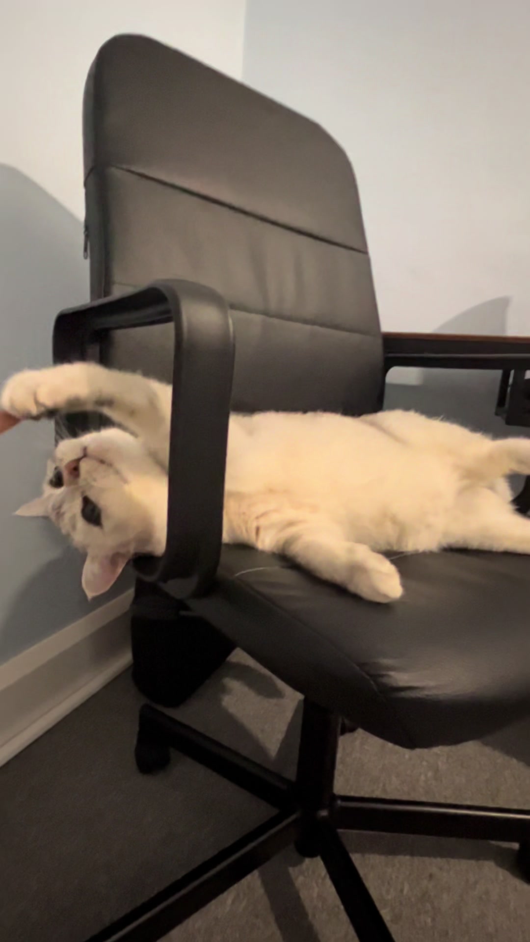 @Sir JJ