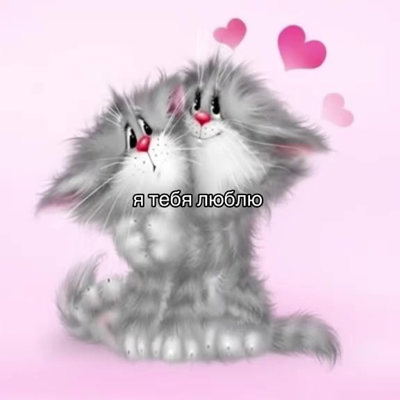 @♡︎𝖒𝖎𝖐𝖎. ✿︎