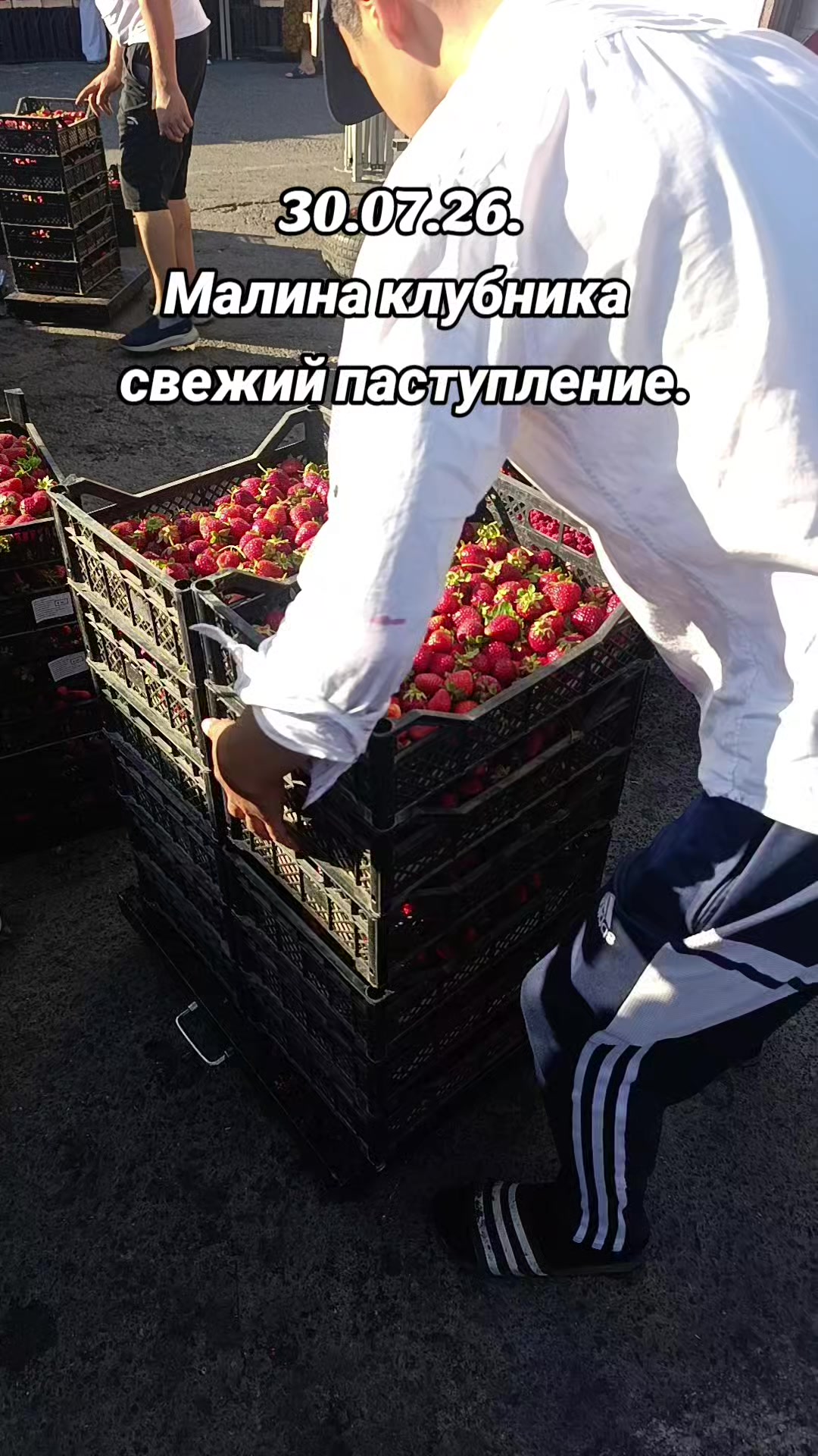 @ЭКЗОТИК ҚАРАБУЛАҚ