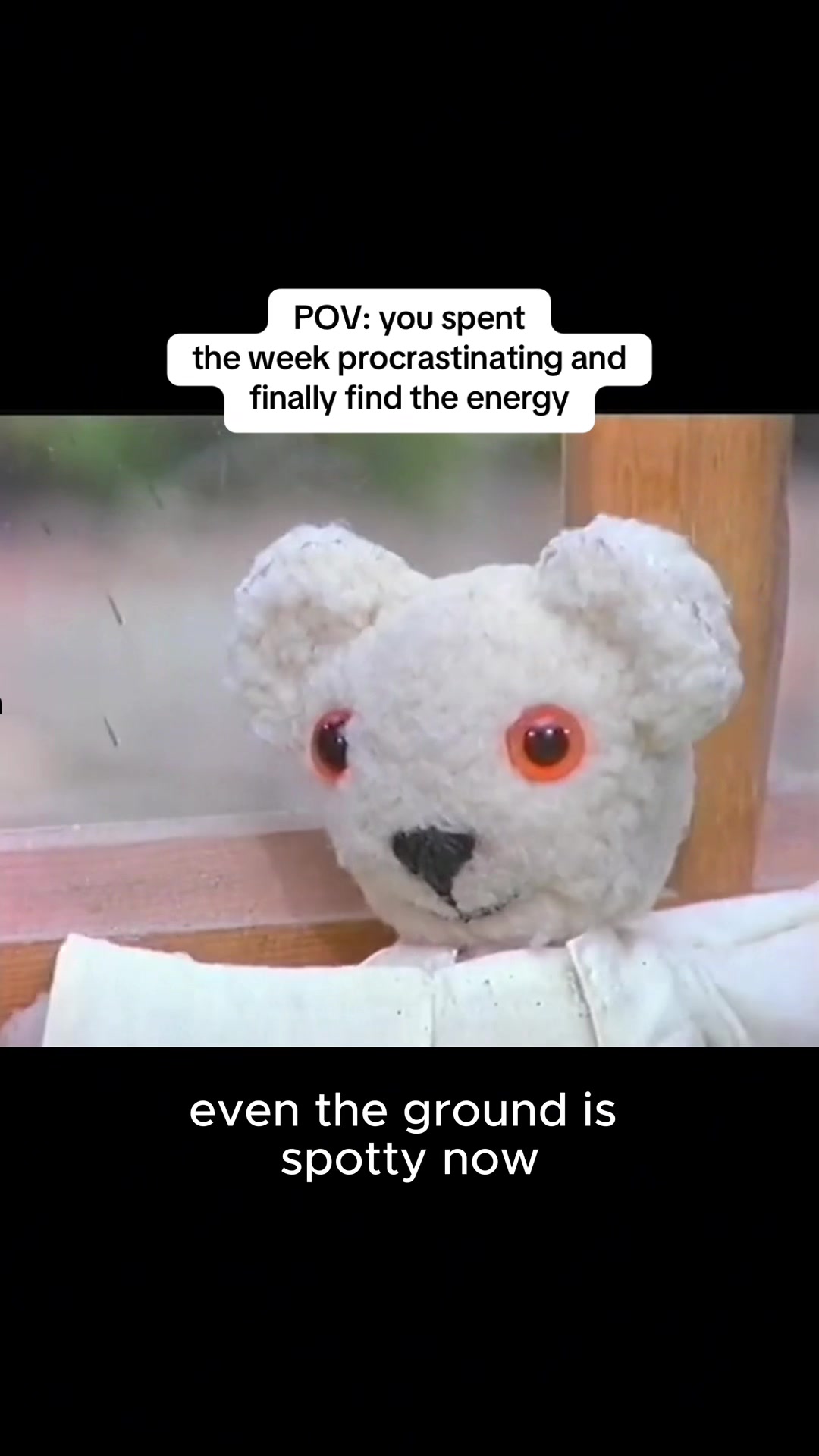 @OldBearSquad