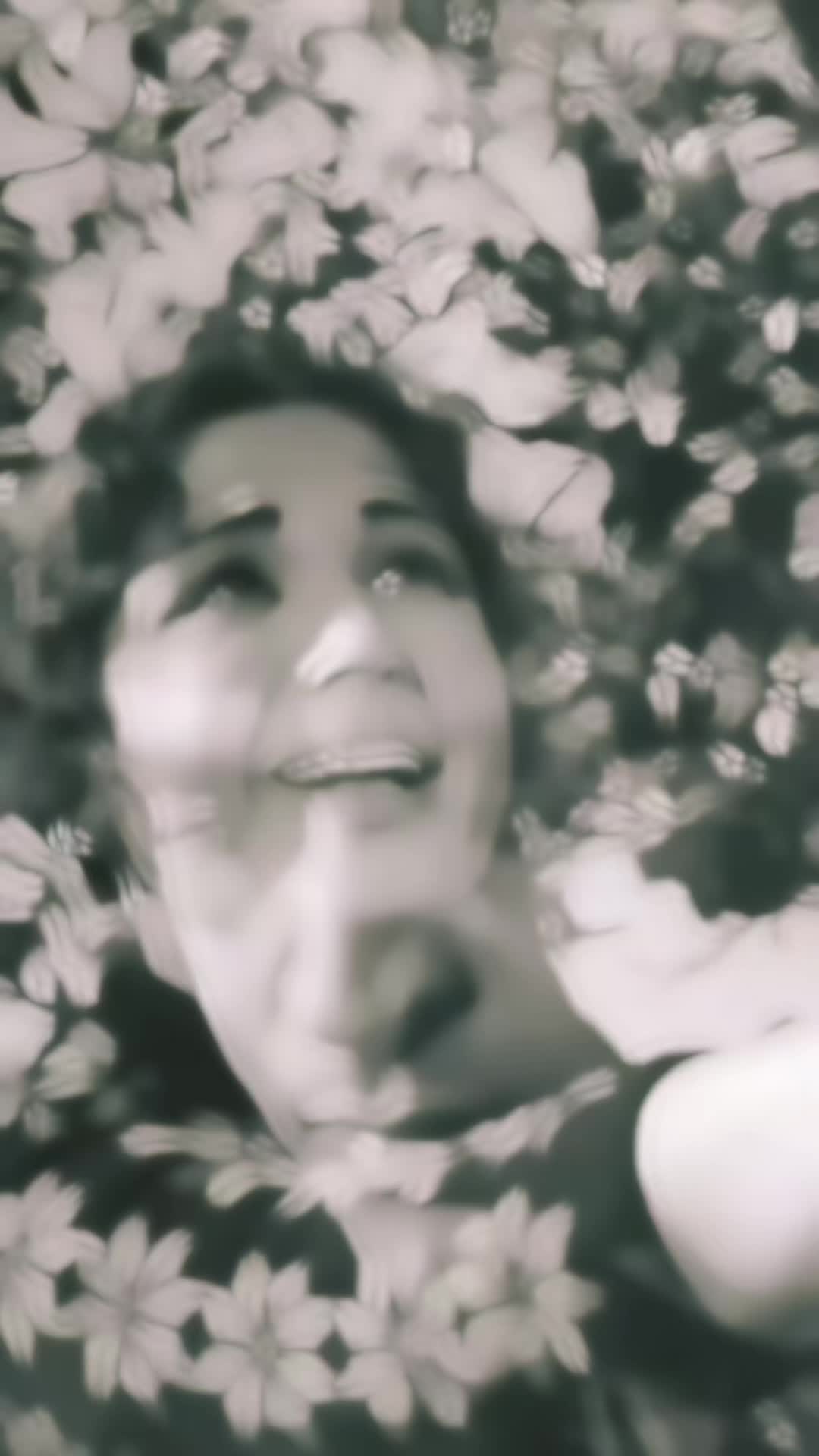 @❤️🧿Evergreen Songs🧿❤️