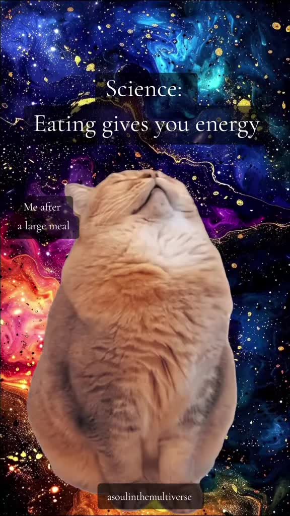 @A Soul in the Multiverse