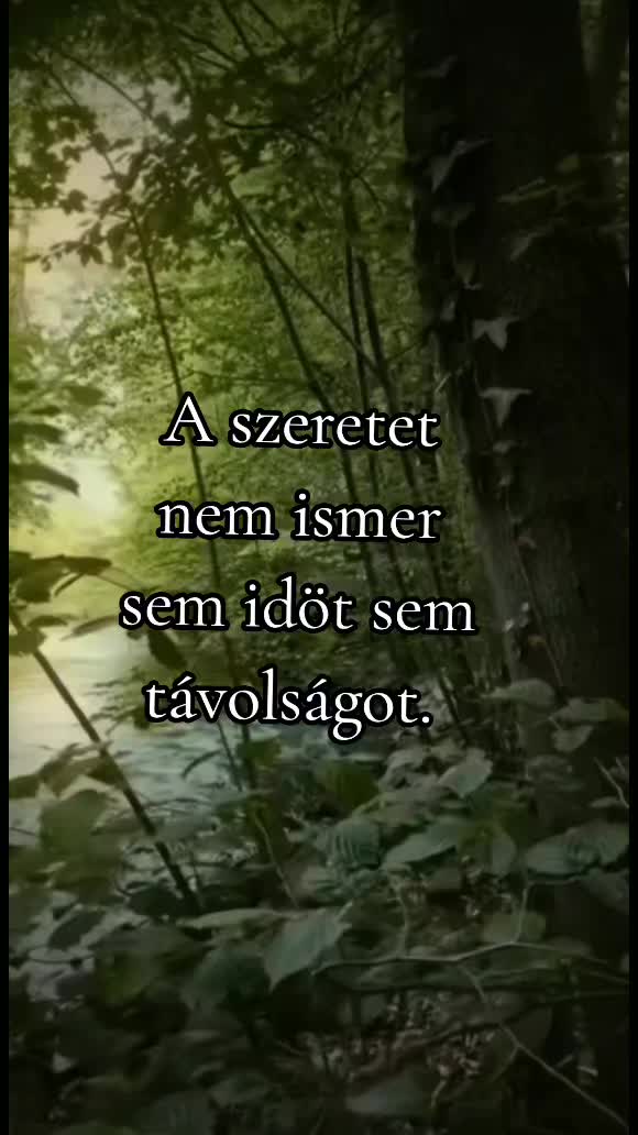 @@ meszi68