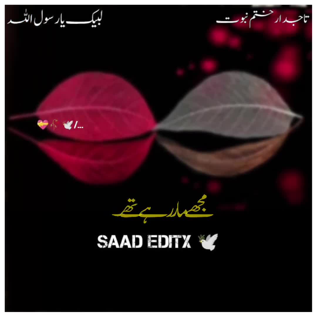 @𝗦𝗮𝗮𝗱 𝗘𝗱𝗶𝘁𝘅 🕊️
