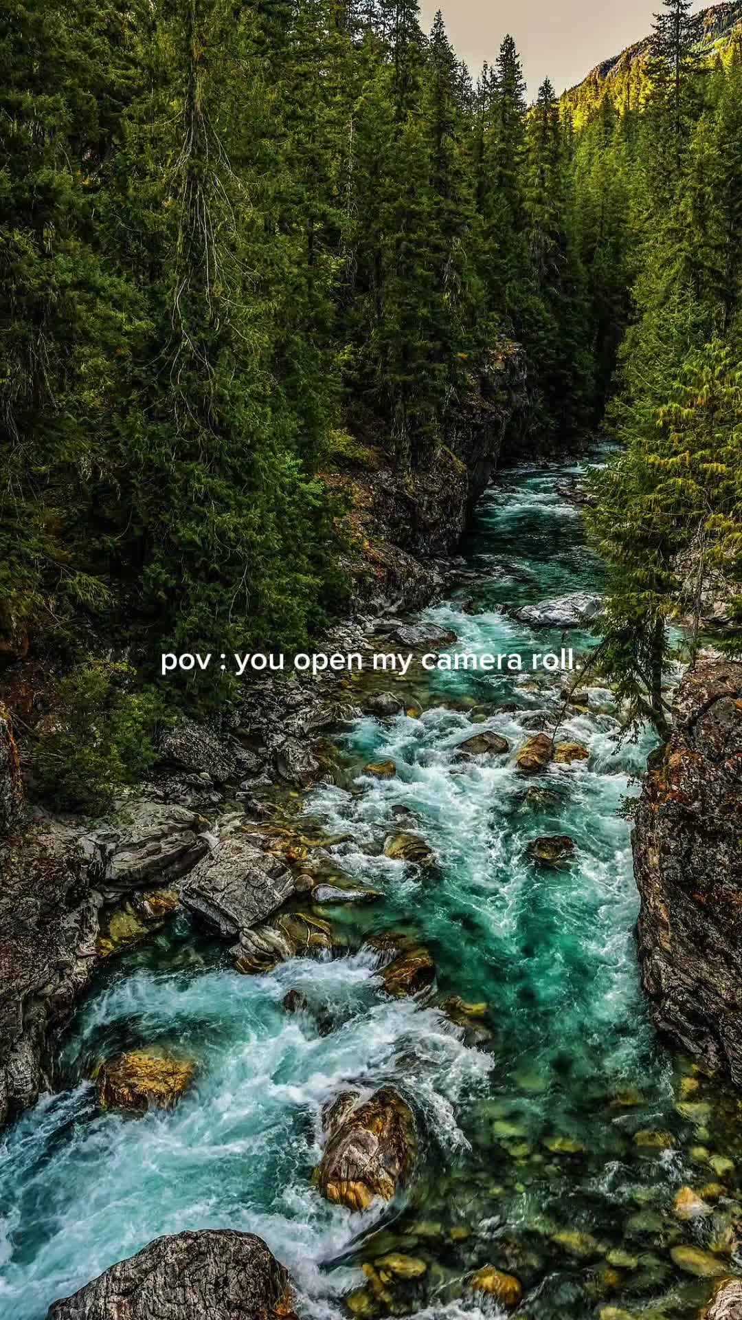 @Rhian •PNW Stories•