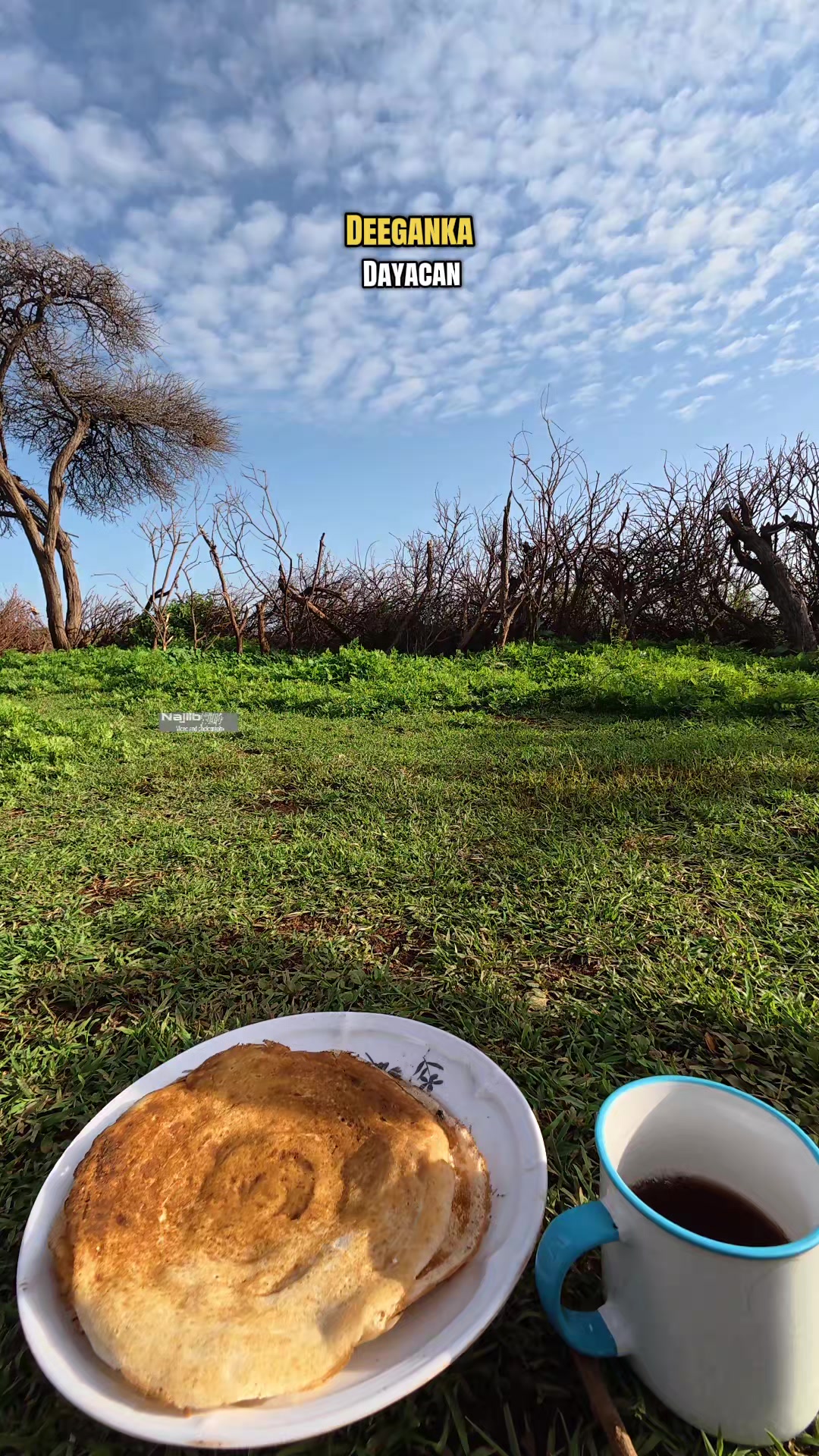 @Najiib naajo Official 🥏