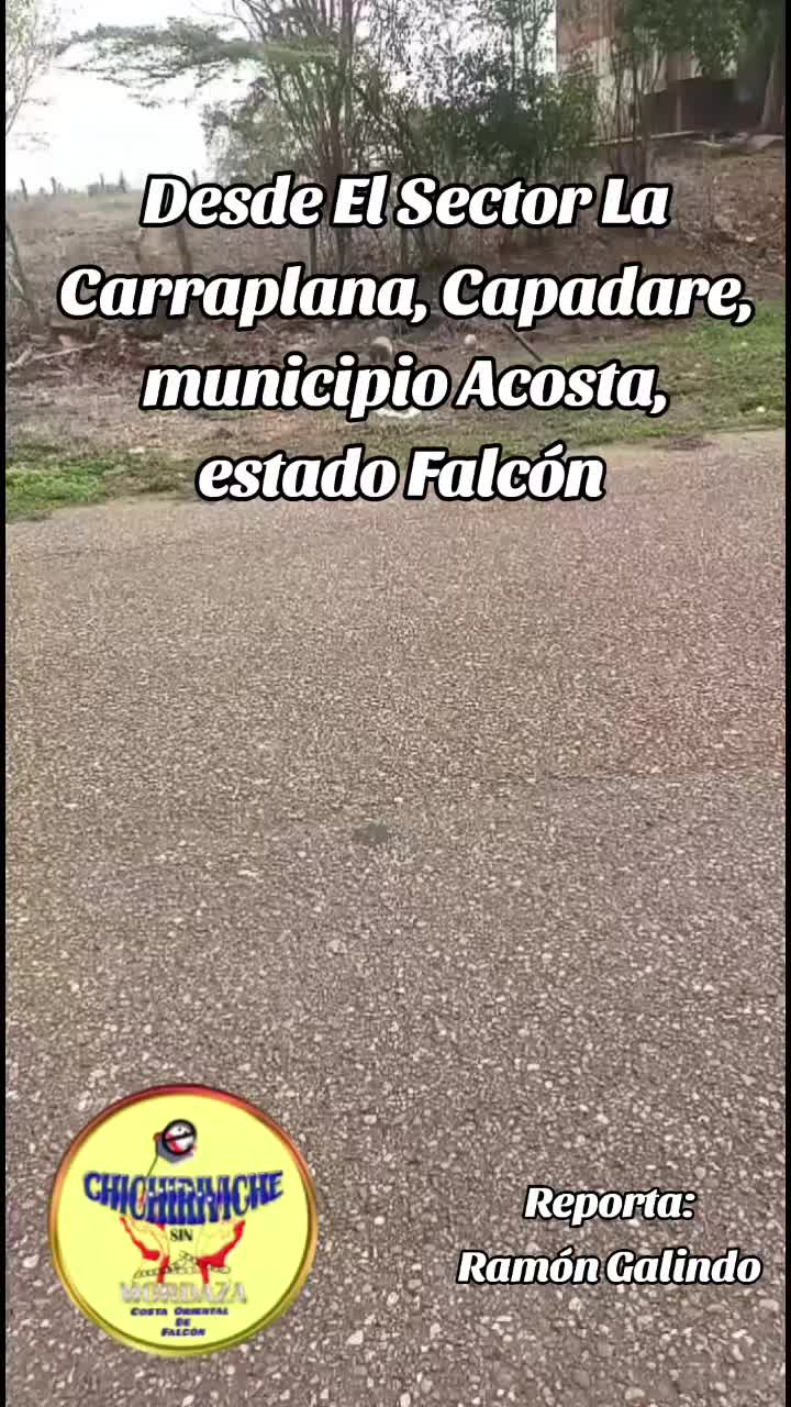 @CHICHIRIVICHE SIN MORDAZA