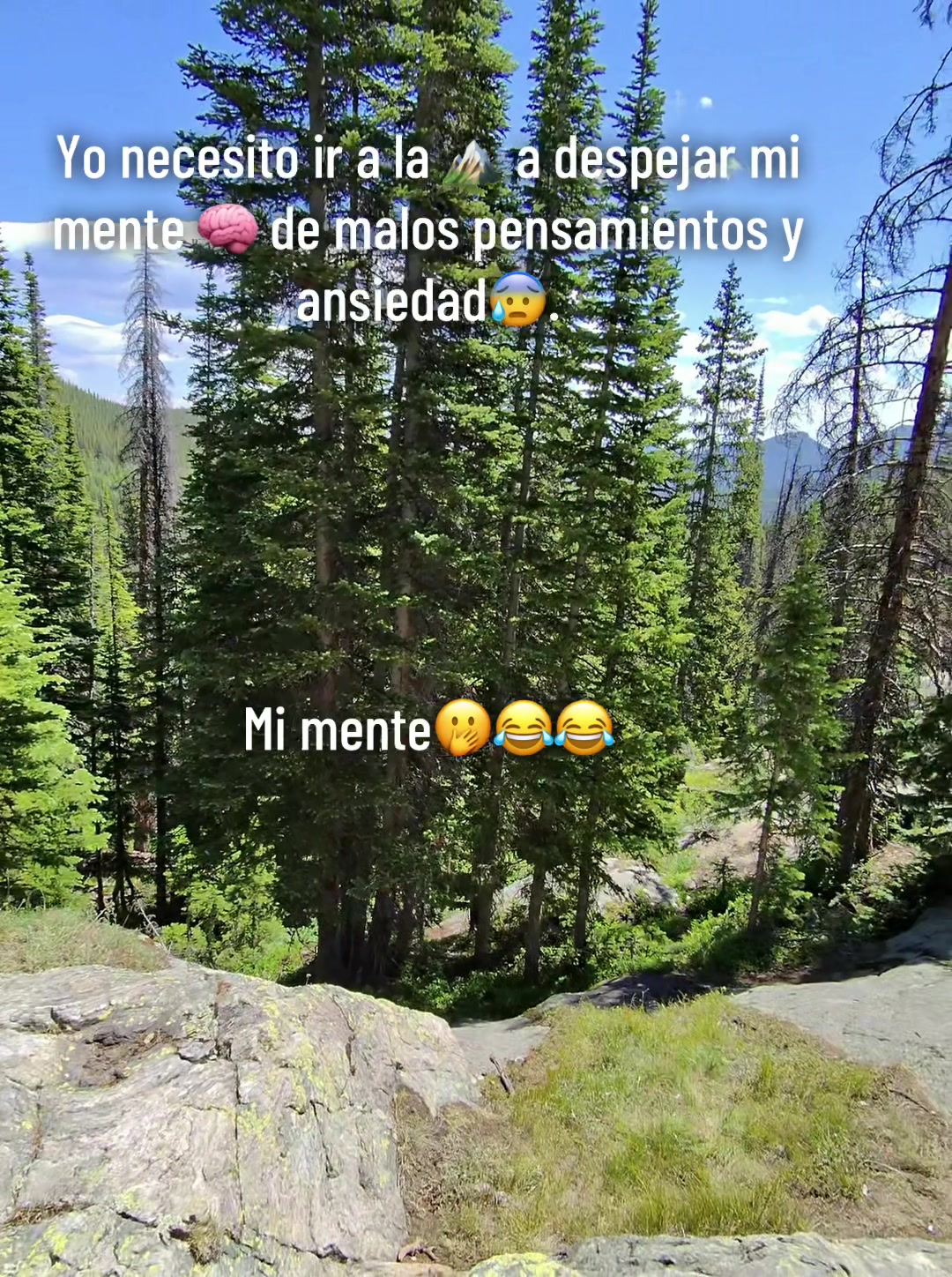 @MyLs22