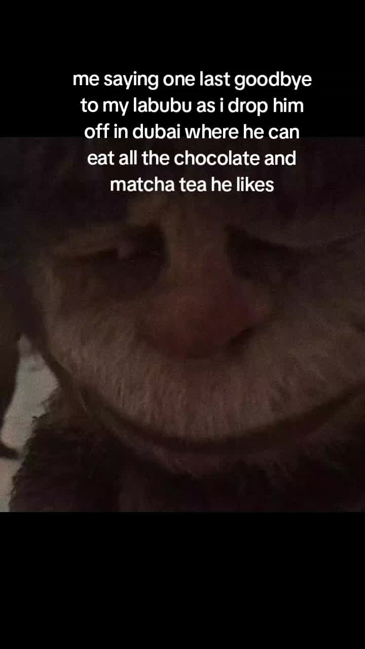 @bachyon
