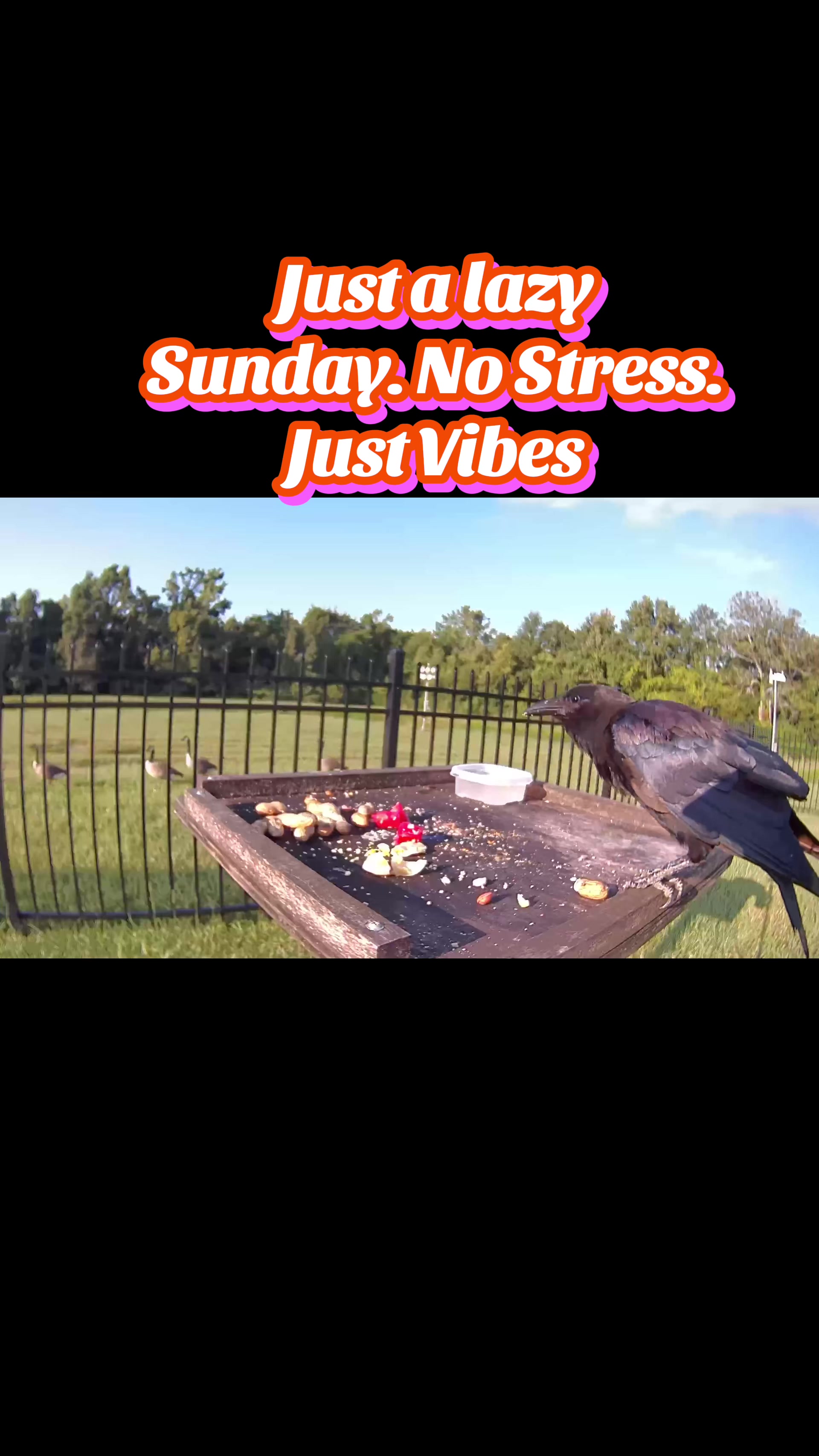 @Buffy_In_Louisiana