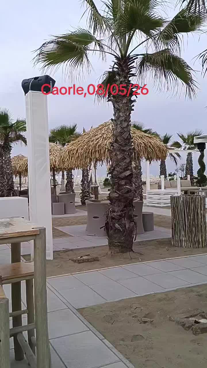 @Iulia