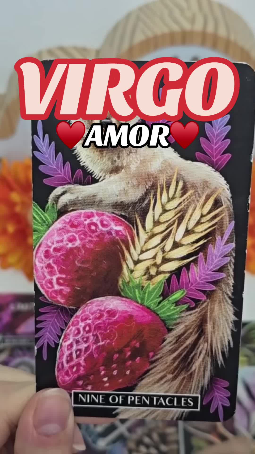 @Daniela Tarot