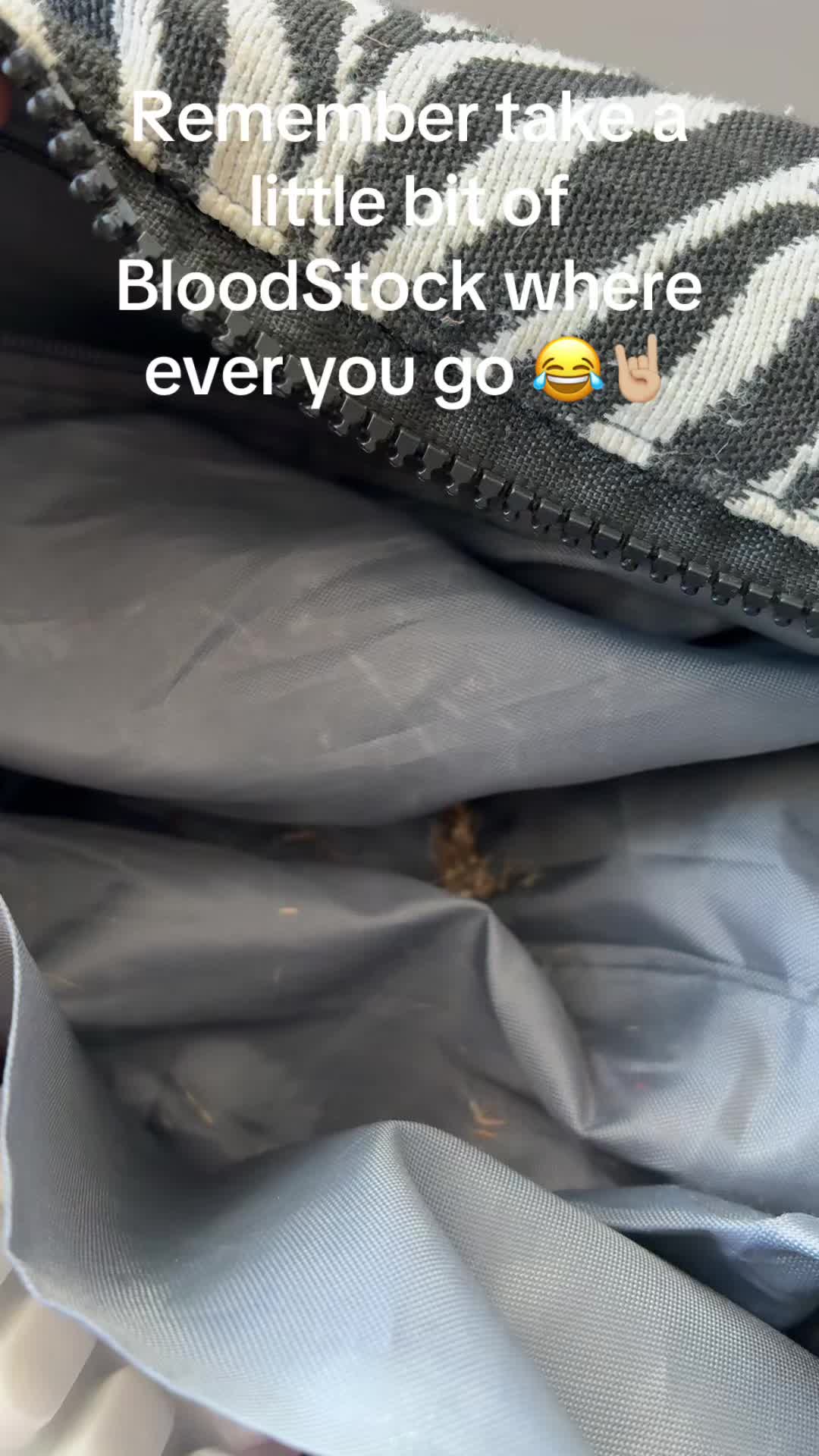 @DownloadMammy