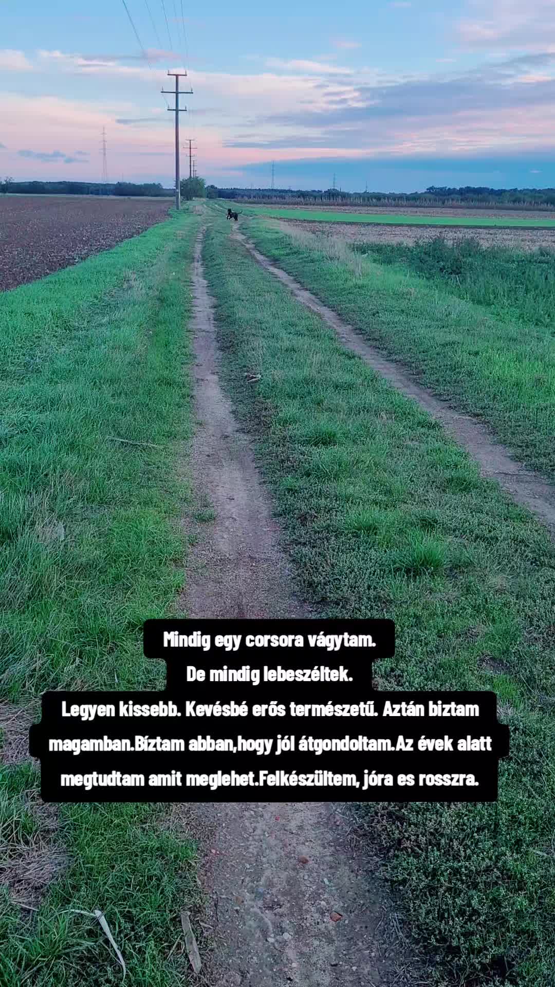 @Hegyi H. Vikt&oacute;ria L.🎰