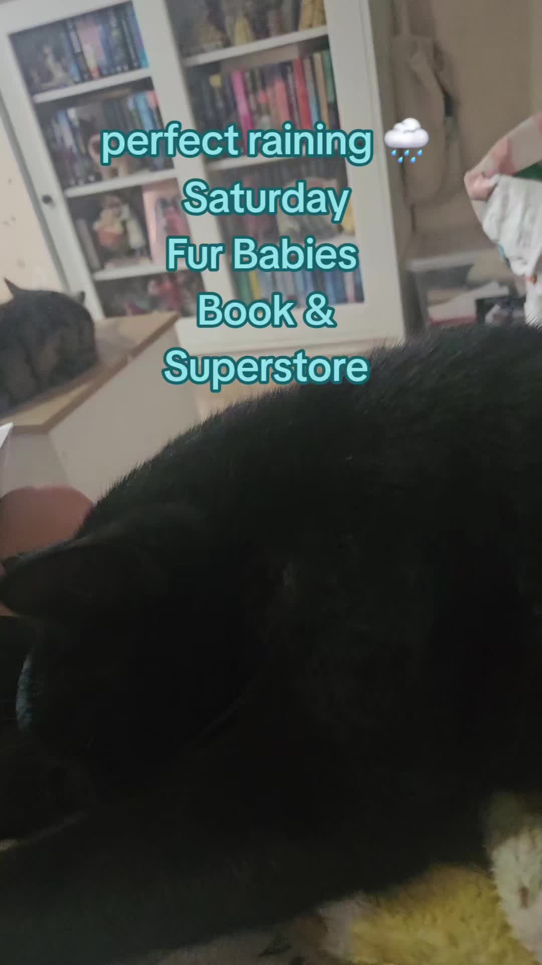 @KellyLovesBooks