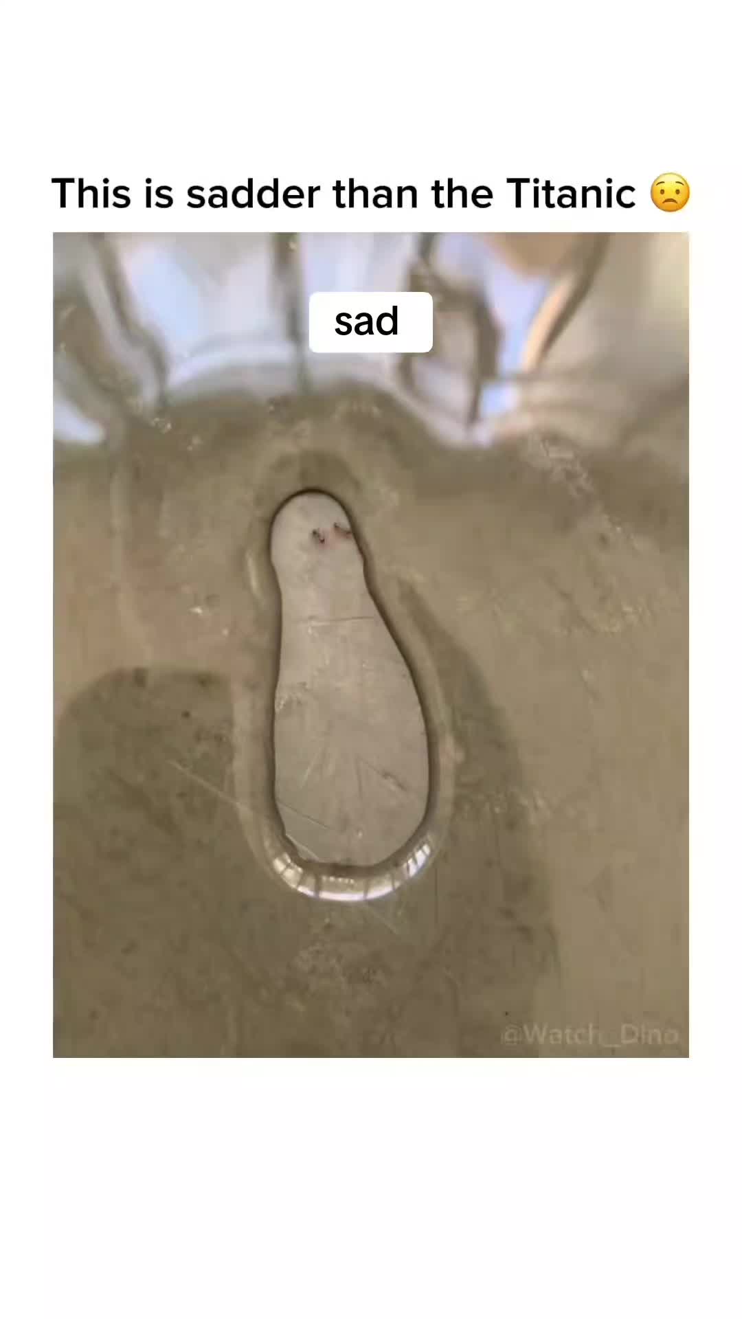 @Ck🥷🏿